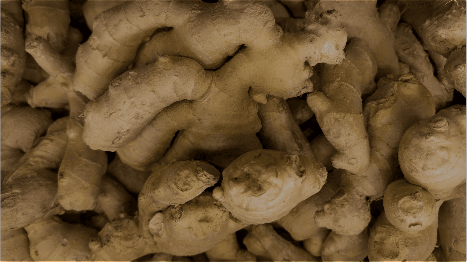 Ginger