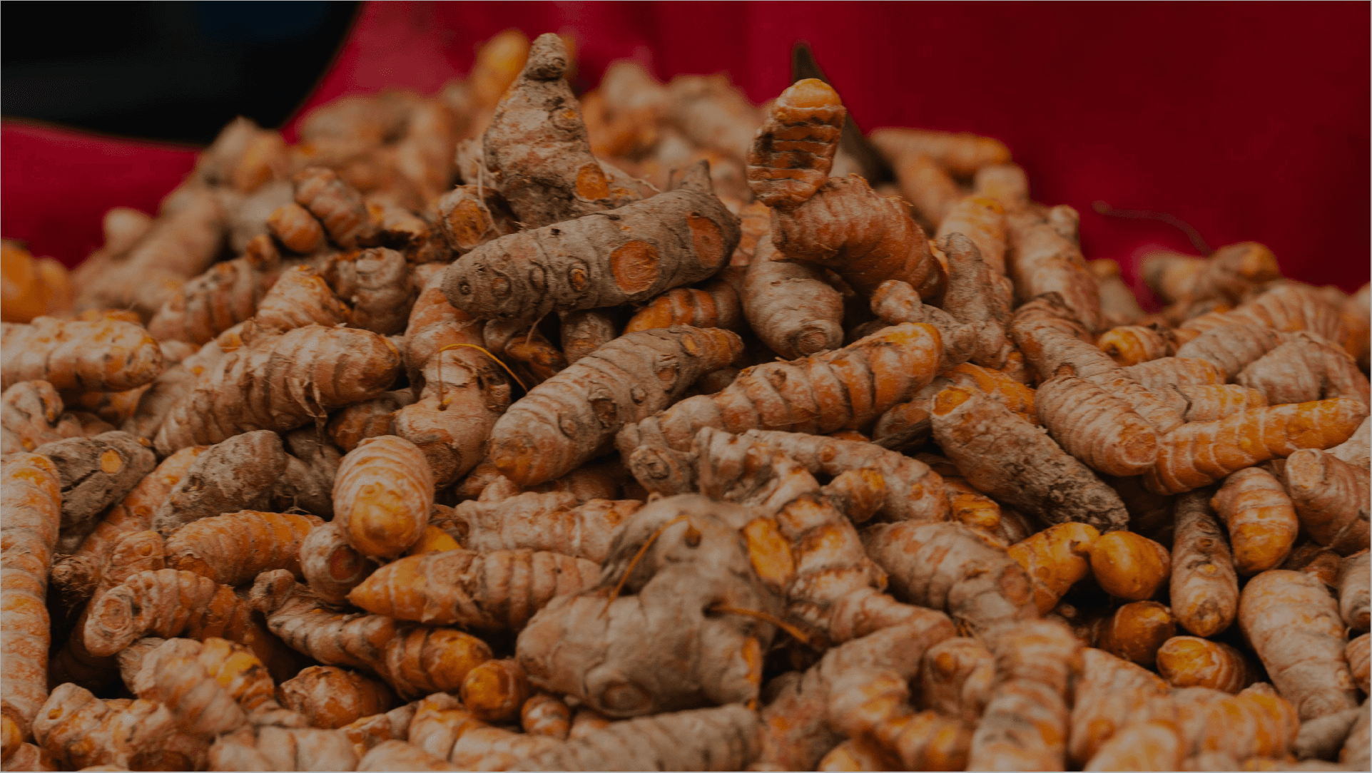 Java Turmeric
