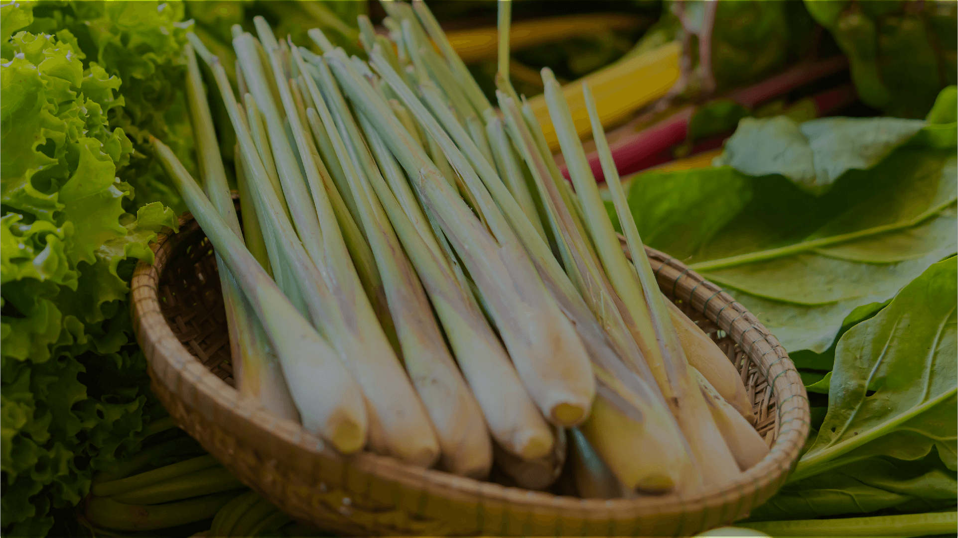 Lemon Grass