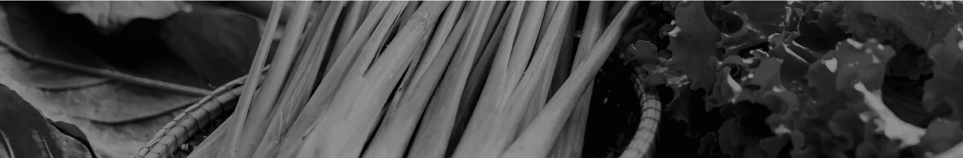 Lemon Grass