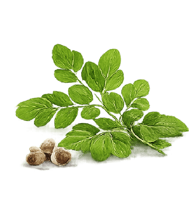 Moringa